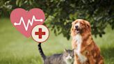 Pet insurance in NJ is among most expensive in U.S.