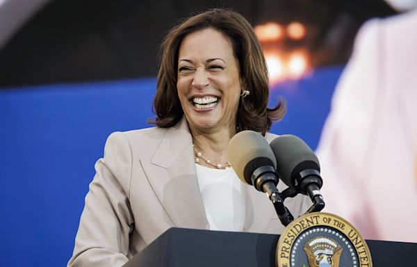 'White dudes for Harris' to hold call after 160,000 White women join ‘Karens for Kamala’ Zoom