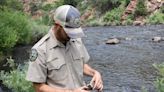 Poudre River trout population devastated by last year's Black Hollow flood, officials confirm