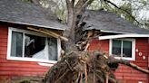 Severe storms blamed for 3 deaths in South Dakota, Minnesota