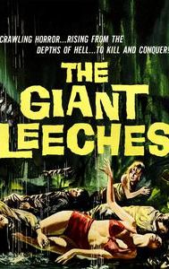 Attack of the Giant Leeches