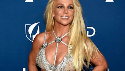 Britney Spears elogió a un Malbec mendocino en sus redes: cuál es y cuánto sale | Noticias