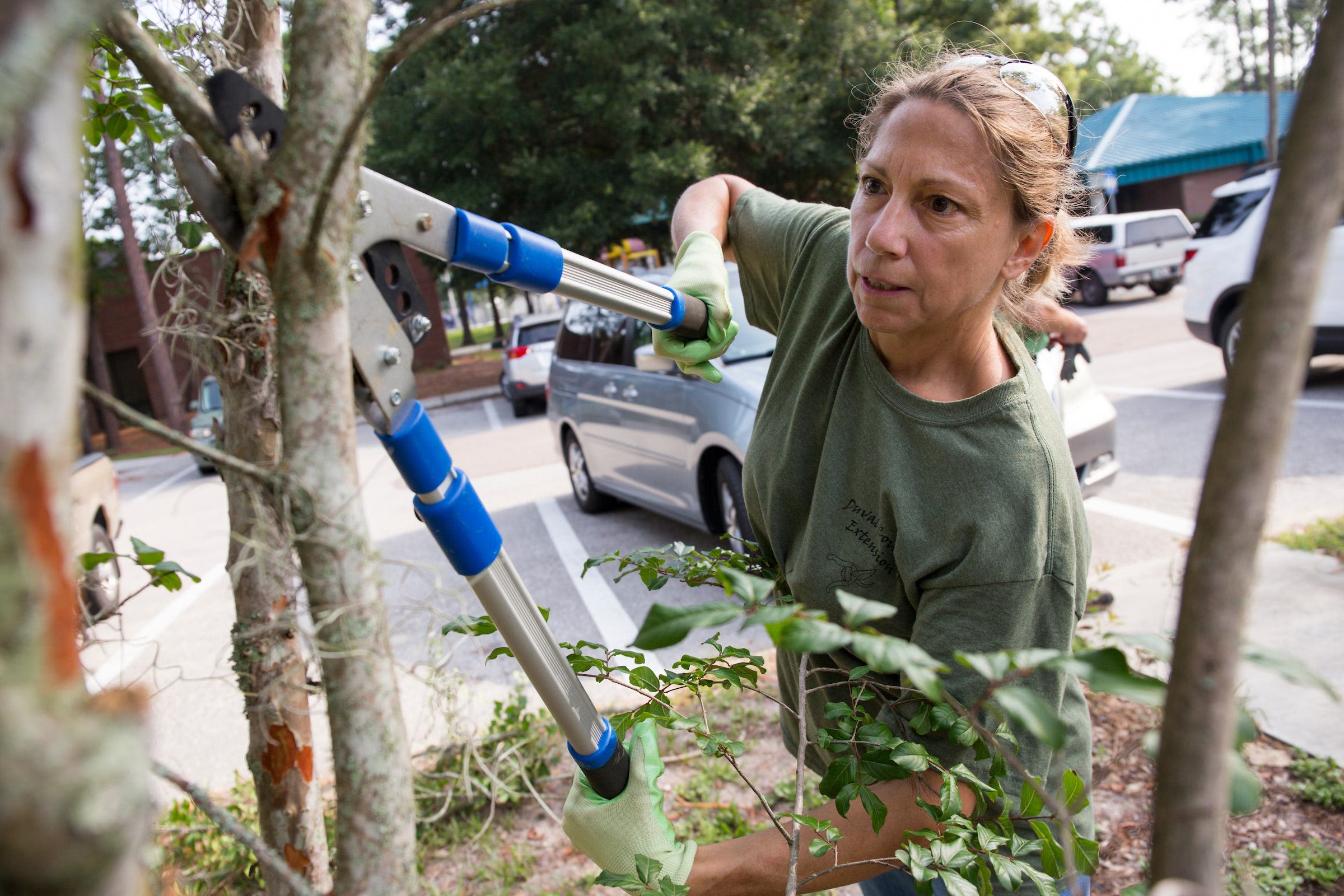 Who helps keep Jacksonville park trees healthy? Master Gardeners donate time, expertise