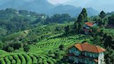 Step Back In Time With Top 5 Historical Places To Visit In Ooty