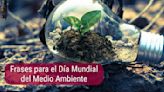 50 frases inspiradoras para motivar el cuidado del medio ambiente en tu empresa