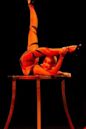 Contortion