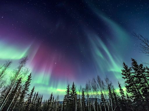 Princess Cruises Offering New Northern Lights Programming on Alaska Voyages