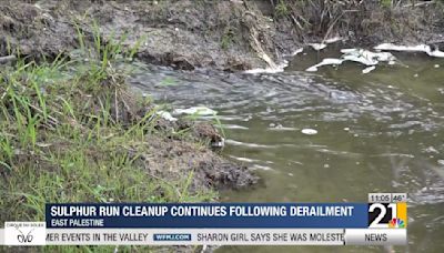 Sulphur Run cleanup continues following derailment
