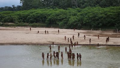 Avistan una tribu aislada en sector de la Amazonia peruana donde operan empresas dedicadas a la explotación forestal
