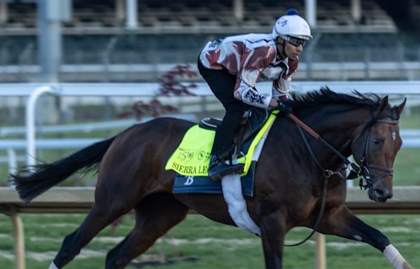 Sierra Leone jockey, trainer, odds and more to know about Kentucky Derby 2024 horse