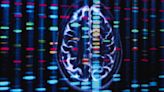 African ancestry genes may be linked to Black Americans' risk for some brain disorders