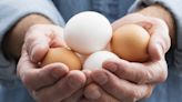 Partner content: Food Facts — On the Color of the Egg’s Shell