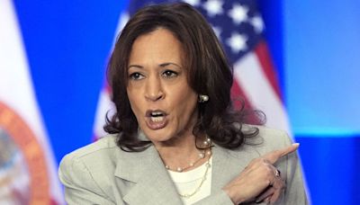 Kamala Harris advierte que otro mandato de Trump significaría "más sufrimiento y menos libertad" - La Opinión