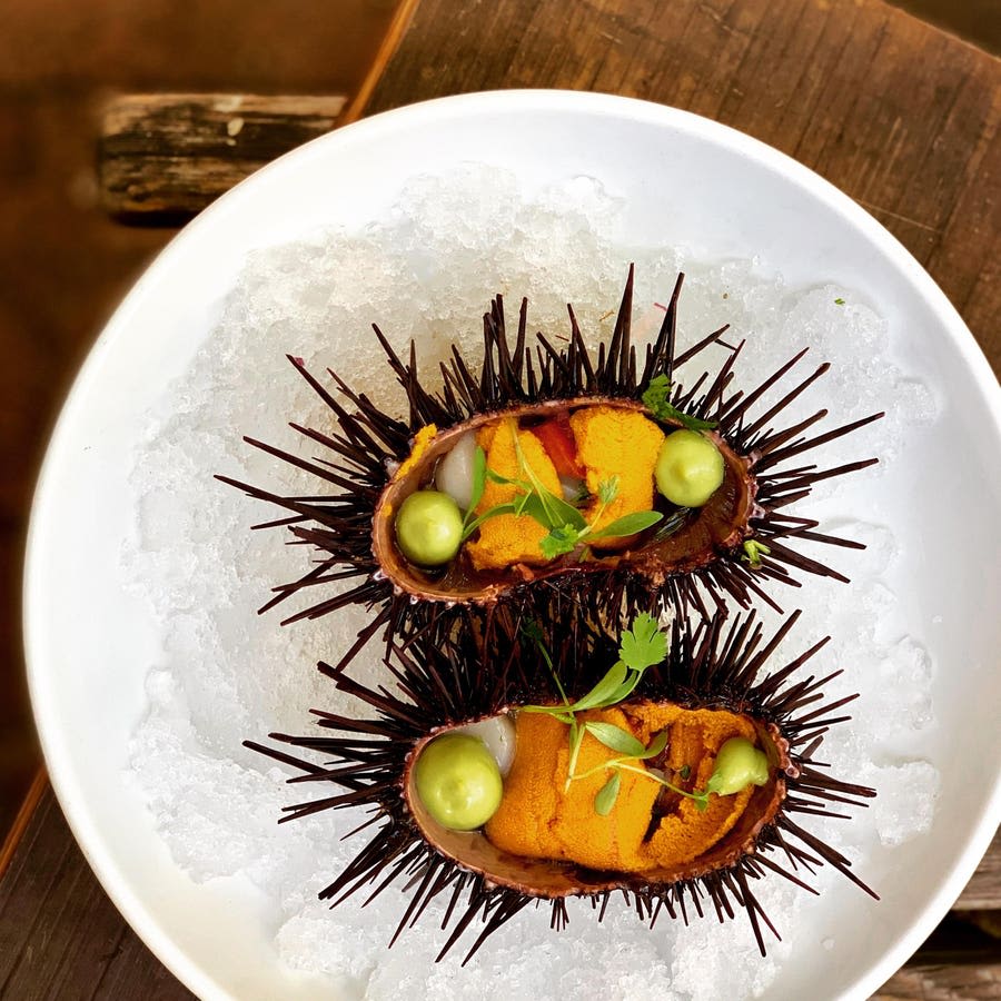 From Food Stall To Michelin: Chef Gilberto Cetina On Holbox’s First Star