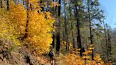 Eagle Creek Trail: Una de las mejores caminatas de Oregon incluso tras incendio forestal