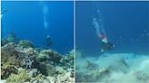 Watch scuba divers grab onto reef as swarm of underwater earthquakes rock Indonesia