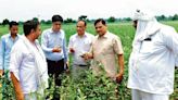 Kharif crops hit by red hairy caterpillar in Mahendragarh villages