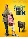 Kleine Ziege, sturer Bock