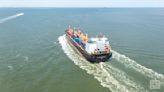 Debates on shipping rebates spurred lawsuits, sensational marketing