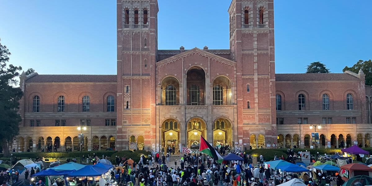 Inside UCLA's Palestinian Solidarity Encampment — Before Police Tore It Apart