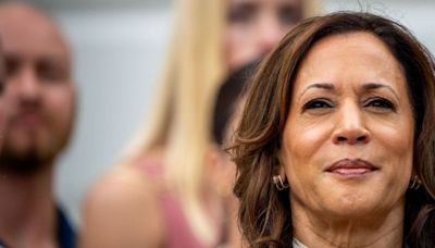 'If you got something to say, say it to my face!' Rally-goers erupt as Harris goads Trump