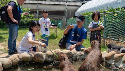 蘆竹炫YA農遊季圓滿落幕 大古山步道公園夜間燈持續飾閃耀至8月底