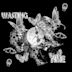 Wasting Time