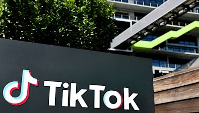 US defends law forcing sale of TikTok app