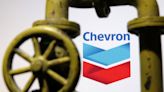 US court's reversal of 'Chevron deference' may limit investments in EVs, safer chemicals, Jefferies says