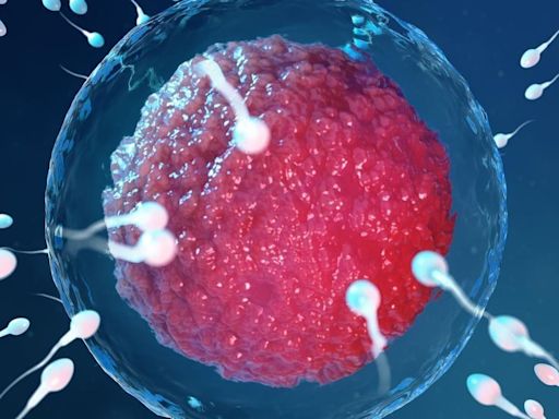 España, entre los países con menos fertilidad: el 10% de los bebés nace ya por reproducción asistida