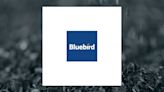 Bluebird Merchant Ventures (LON:BMV) Shares Down 5.6%