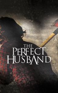 The Perfect Husband