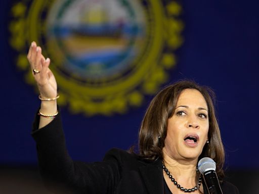 Harris y Trump se embarcan en un maratón en estados claves con las encuestas empatadas