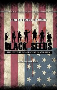 Black Seeds: The History of Africans in America