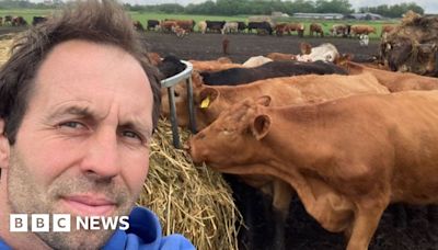 Coveney cattle farmer fears herd sell-off over winter flooding