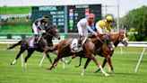 Prince of Wales's Stakes 2024 predictions, horses, odds, date: Royal Ascot picks by horse racing insider