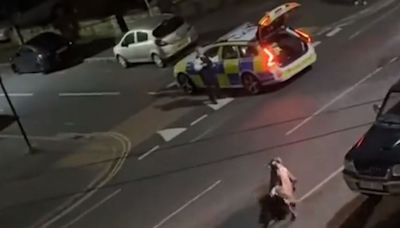 Police launch criminal investigation after officer was filmed running over cow