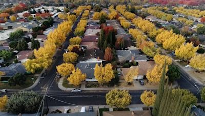 Modesto is home to more than 100,000 trees. Is it still recognized as a ‘Tree City’?