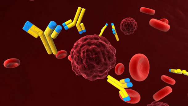 Antibody-drug conjugates