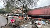 Construction costs as part of plan to save live oak in downtown Gainesville exceed $600,000