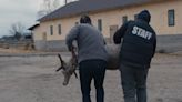 3 questions for 'Searching for Nika' director about the toll the Russia-Ukraine war has taken on animals