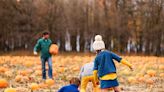 The 16 Best Pumpkin Patches Near NYC