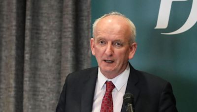 HSE chief executive defends pace of reforms