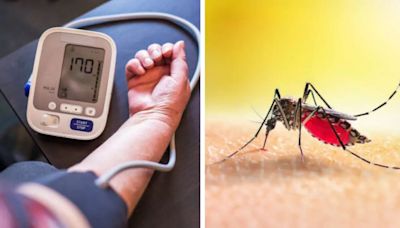 Dengue Crisis In India: Experts Warn Vector Fever Seriously Affects Blood Pressure Levels; Ways To Manage