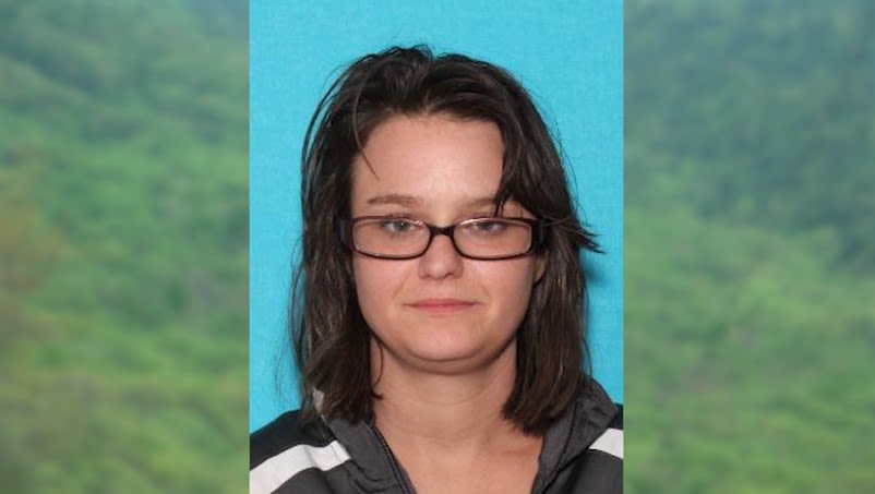 Greene County authorities still looking for woman last seen on Viking Mountain