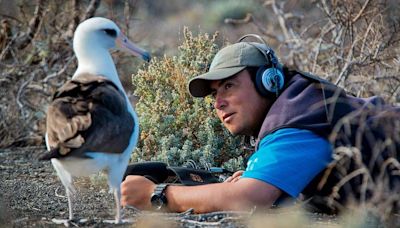 El científico mexicano premiado por National Geographic que transporta aves más de 6.000 km y les encuentra padres adoptivos en México
