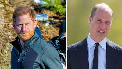 'Now Is Not the Time': Prince Harry Gives Blunt and Sad Reason Why He Will Not Meet With Prince William on May 8