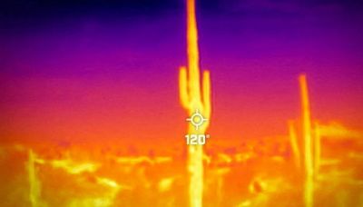 El oeste afronta la primera gran ola de calor de 2024 con tres dígitos en California