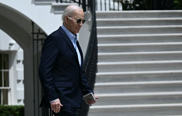 As student protests shake US campuses, Biden mum