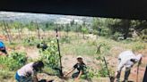 Reedley man recalls a Palestinian family that cultivates crops and kindness | Opinion